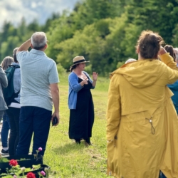 O'Sea Lavender Farm, Bouctouche